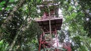 Le jardin botanique de Alberto Gomez à Quindio, le 6 juillet 2020. Le jardin botanique de Alberto Gomez à Quindio, le 6 juillet 2020.