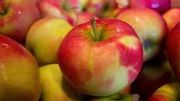 La fête de la pomme, c'est ce dimanche à Céroux-Mousty La fête de la pomme, c'est ce dimanche à Céroux-Mousty
