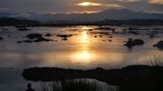 Le niveau du Mékong est historiquement bas, même par rapport à la sécheresse de 1992. Le niveau du Mékong est historiquement bas, même par rapport à la sécheresse de 1992.