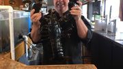 Après 20 ans passé dans un aquarium de resto, un homard retrouve la liberté Après 20 ans passé dans un aquarium de resto, un homard retrouve la liberté
