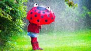 Quelques activités à faire avec les enfants durant les jours de pluie Quelques activités à faire avec les enfants durant les jours de pluie