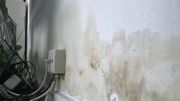 Humidité et chauffage défaillant: les conditions de vie difficiles des locataires des tours du Rempart des moines Humidité et chauffage défaillant: les conditions de vie difficiles des locataires des tours du Rempart des moines