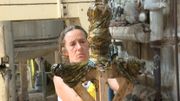 Une artiste sculpte le savon de Marseille en invitant à plus d’hygiène… intellectuelle