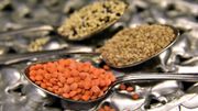 Il existe de nombreuses variétés de lentilles Il existe de nombreuses variétés de lentilles
