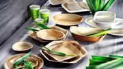 biodégradable biodégradable