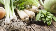 UE: de nouvelles règles pour l'alimentation bio en 2021 UE: de nouvelles règles pour l'alimentation bio en 2021