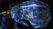 Boulogne-sur-Mer: le plus grand aquarium d'Europe va ouvrir en mai Boulogne-sur-Mer: le plus grand aquarium d'Europe va ouvrir en mai