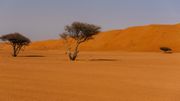 "Sharqiya sands" l'une des merveilles naturelles du Sultanat d'Oman. "Sharqiya sands" l'une des merveilles naturelles du Sultanat d'Oman.