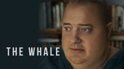 Vos tickets pour "The Whale" dans le ciné de votre choix