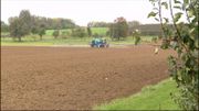 Les agriculteurs wallons face au glyphosate: risques et nécessités Les agriculteurs wallons face au glyphosate: risques et nécessités