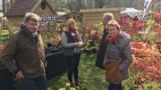 Face au froid, jardiniers et pépiniéristes redoublent de prudence à la foire d'Enghien Face au froid, jardiniers et pépiniéristes redoublent de prudence à la foire d'Enghien