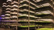 AeroFarms à Newark - La plus grande ferme verticale au monde AeroFarms à Newark - La plus grande ferme verticale au monde