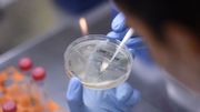 Coronavirus : Londres ne participera pas au programme européen sur les vaccins Coronavirus : Londres ne participera pas au programme européen sur les vaccins