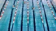 Réouverture des piscines : l'obstacle de trop Réouverture des piscines : l'obstacle de trop