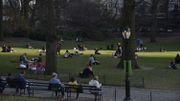 Les voitures bientôt bannies de Central Park à New York Les voitures bientôt bannies de Central Park à New York