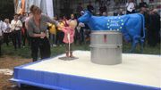 Symboliquement, les manifestants ont versé quelques litres de lait au pied d'une vache aux couleurs de l'Union européenne. Un petit enfant s'est joint au mouvement en versant lui aussi son biberon de lait. Symboliquement, les manifestants ont versé quelques litres de lait au pied d'une vache aux couleurs de l'Union européenne. Un petit enfant s'est joint au mouvement en versant lui aussi son biberon de lait.