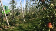 A Barry, 16 hectares de poires et 1 hectare et demi de pommes (bio) A Barry, 16 hectares de poires et 1 hectare et demi de pommes (bio)