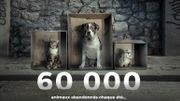 France : la campagne choc contre les abandons signée 30 millions d'amis (vidéo) France : la campagne choc contre les abandons signée 30 millions d'amis (vidéo)