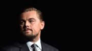 Le Mexique et l'acteur DiCaprio veulent sauver une espèce en danger Le Mexique et l'acteur DiCaprio veulent sauver une espèce en danger