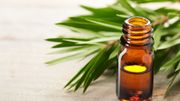 Huiles essentielles : trois alternatives aux antibiotiques pour combattre les maux de l'hiver Huiles essentielles : trois alternatives aux antibiotiques pour combattre les maux de l'hiver