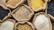 C'est quoi le gluten dont on parle si souvent ? C'est quoi le gluten dont on parle si souvent ?