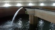 Les restrictions à l'utilisation de l'eau maintenues dans certaines communes wallonnes Les restrictions à l'utilisation de l'eau maintenues dans certaines communes wallonnes