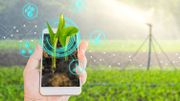 Seek : une nouvelle application pour shazamer les plantes et les animaux Seek : une nouvelle application pour shazamer les plantes et les animaux