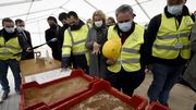 FoodTech : une ferme géante d'insectes édifiée en Picardie FoodTech : une ferme géante d'insectes édifiée en Picardie