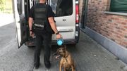 Bes, un berger malinois de 8 ans, est intervenu il y a quelques minutes dans l’habitation de la personne qui a mis fin à ses jours. Bes, un berger malinois de 8 ans, est intervenu il y a quelques minutes dans l’habitation de la personne qui a mis fin à ses jours.