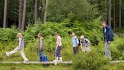 Forest schools : et si demain, on installait les classes dans la nature ?