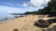 Cap sur Nosy Be, l'envoûtante et sensuelle île aux parfums… Cap sur Nosy Be, l'envoûtante et sensuelle île aux parfums…