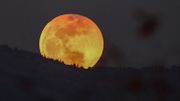Marées, sommeil, jardinage... Quelle est la réelle influence de la lune sur la Terre ? Marées, sommeil, jardinage... Quelle est la réelle influence de la lune sur la Terre ?