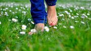 Se balader pieds nus c'est bénéfique contre le stress et l'anxiété Se balader pieds nus c'est bénéfique contre le stress et l'anxiété