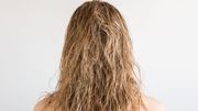 Les cheveux humides sont vulnérables Les cheveux humides sont vulnérables