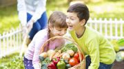 Un carré potager, c'est cultiver le plaisir d'une alimentation saine à portée de main ! Un carré potager, c'est cultiver le plaisir d'une alimentation saine à portée de main !