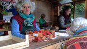 Le succès est au rendez-vous, à tel point que la baraque à fraises d'Ittre est régulièrement en rupture de stock. Le succès est au rendez-vous, à tel point que la baraque à fraises d'Ittre est régulièrement en rupture de stock.