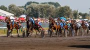 L'Hippodrome de Wallonie lance un appel désespéré au Conseil National de Sécurité L'Hippodrome de Wallonie lance un appel désespéré au Conseil National de Sécurité