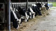 Le nombre d'exploitations agricoles s'est stabilisé en Belgique en 2016 Le nombre d'exploitations agricoles s'est stabilisé en Belgique en 2016