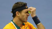 Del Potro: "Pour tout vous dire, j'ai pleuré" Del Potro: "Pour tout vous dire, j'ai pleuré"