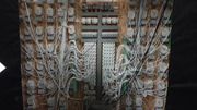 Des installations électriques sophistiquées pour les plantations Des installations électriques sophistiquées pour les plantations