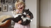 Adopter un chat hypoallergenique, bientôt possible grâce à la génétique Adopter un chat hypoallergenique, bientôt possible grâce à la génétique