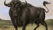 SAN FERMIN "San Fermin" SAN FERMIN "San Fermin"