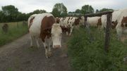 A la rencontre du Pays de Herve et des Ardennes : Olne A la rencontre du Pays de Herve et des Ardennes : Olne