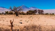 Vue imprenable sur le volcan Licancabur, à la frontière avec la Bolivie Vue imprenable sur le volcan Licancabur, à la frontière avec la Bolivie