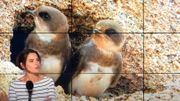 Découverte d'un espace étonnant pour la biodiversité : les carrières Découverte d'un espace étonnant pour la biodiversité : les carrières