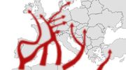 carte de migrations des papillons vers le Nord carte de migrations des papillons vers le Nord