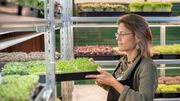 Lowco : l'app pour consommer local et durable Lowco : l'app pour consommer local et durable