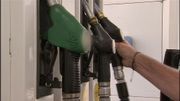 De l'huile de palme dans le diesel de votre voiture De l'huile de palme dans le diesel de votre voiture