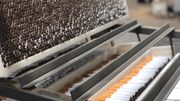 Démantèlement d’un réseau de cigarettes de contrebande: du jamais vu pour les douanes belges Démantèlement d’un réseau de cigarettes de contrebande: du jamais vu pour les douanes belges