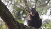 Du Burundi à notre belle Wallonie, Grandeur Nature c'est ce samedi ! Du Burundi à notre belle Wallonie, Grandeur Nature c'est ce samedi !